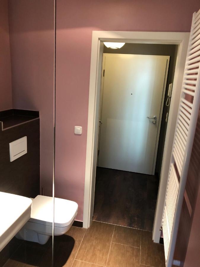 Studio Apartment In Dresden-Neustadt Dış mekan fotoğraf